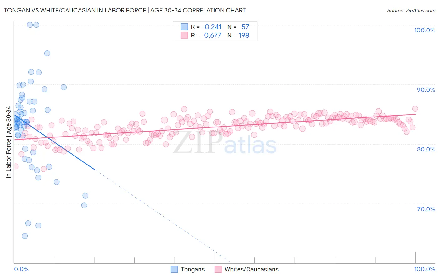 Tongan vs White/Caucasian In Labor Force | Age 30-34