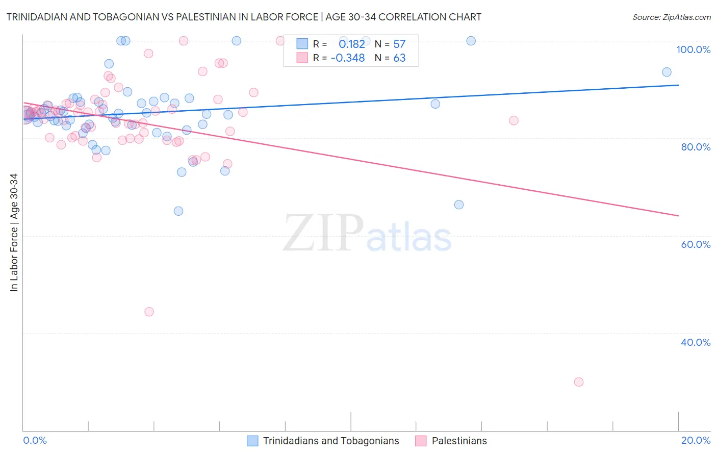 Trinidadian and Tobagonian vs Palestinian In Labor Force | Age 30-34