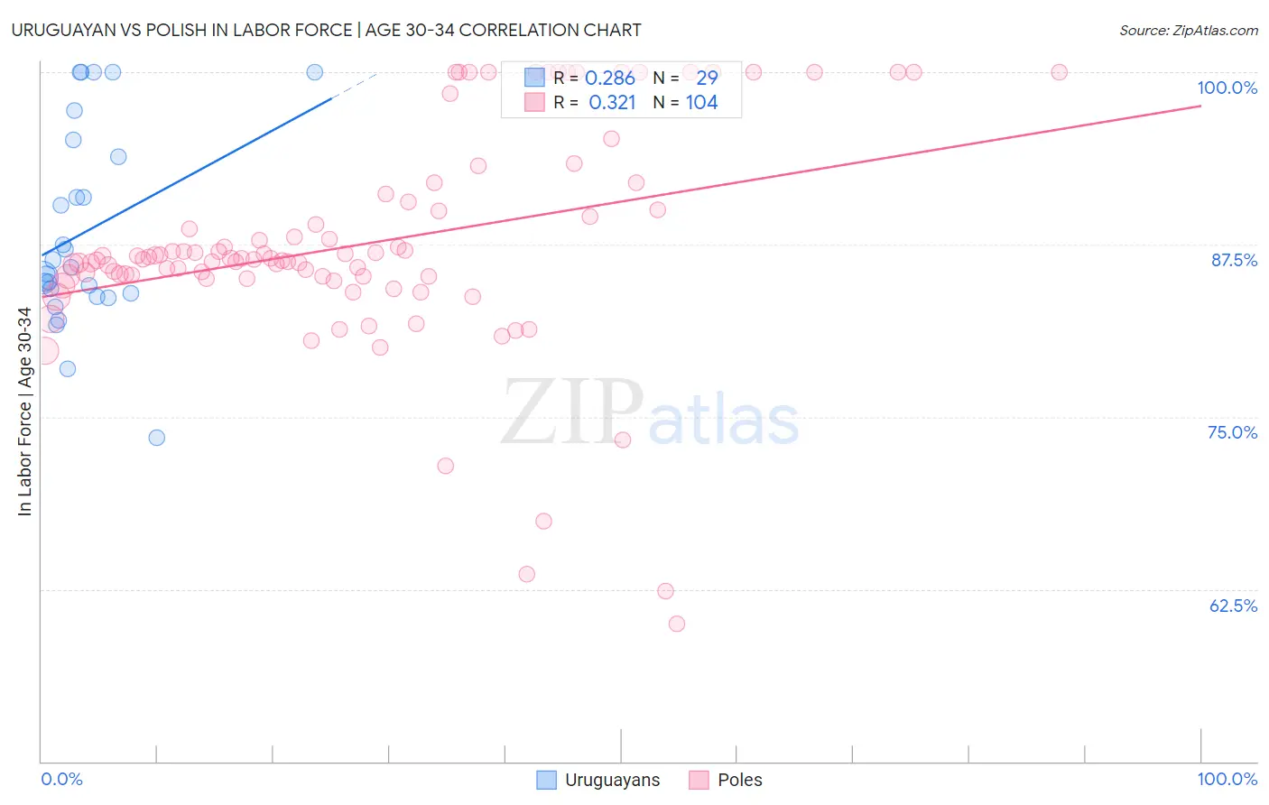 Uruguayan vs Polish In Labor Force | Age 30-34