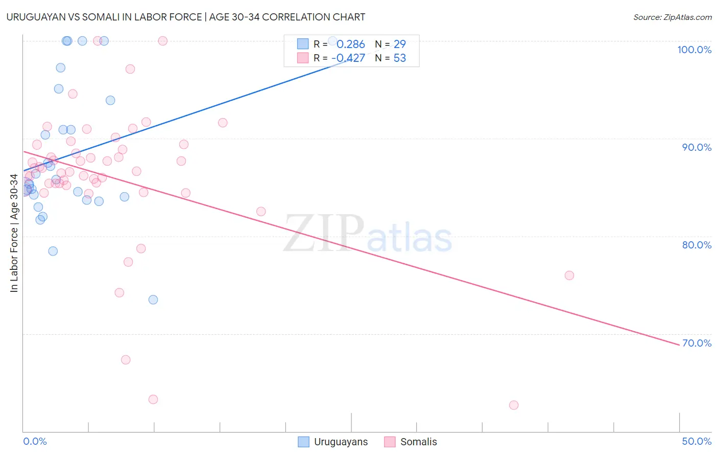 Uruguayan vs Somali In Labor Force | Age 30-34