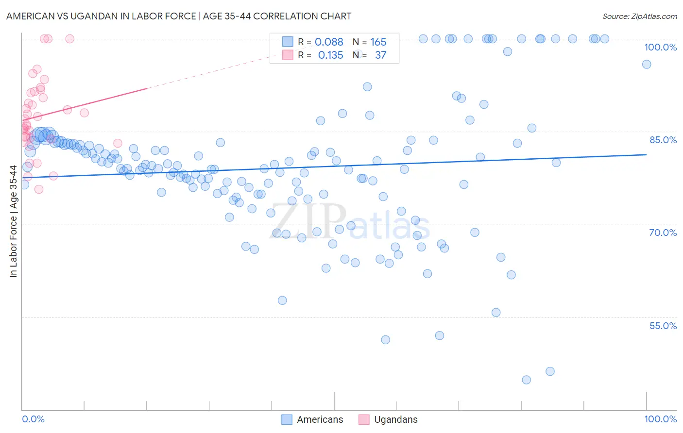 American vs Ugandan In Labor Force | Age 35-44