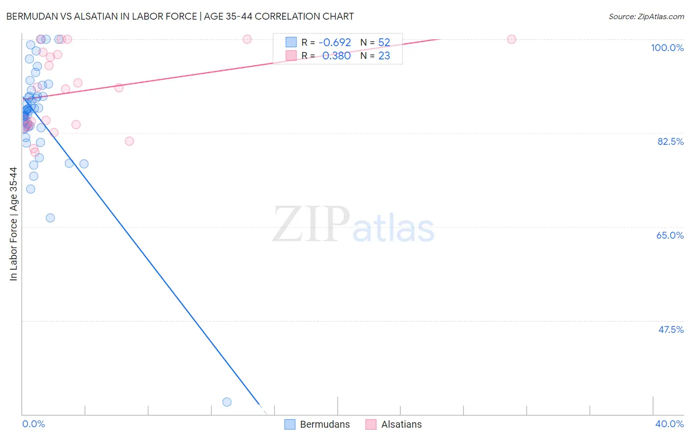 Bermudan vs Alsatian In Labor Force | Age 35-44