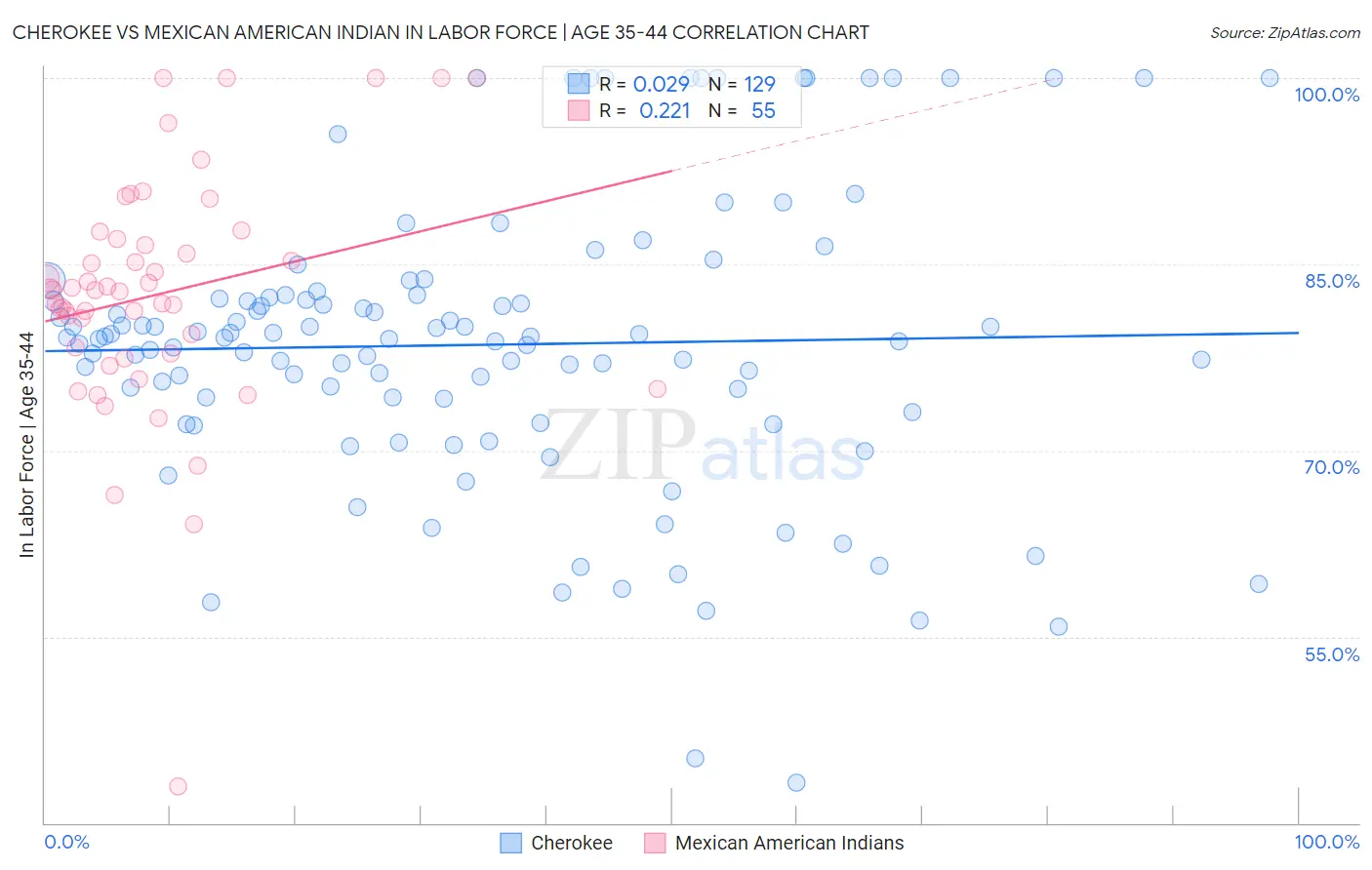 Cherokee vs Mexican American Indian In Labor Force | Age 35-44