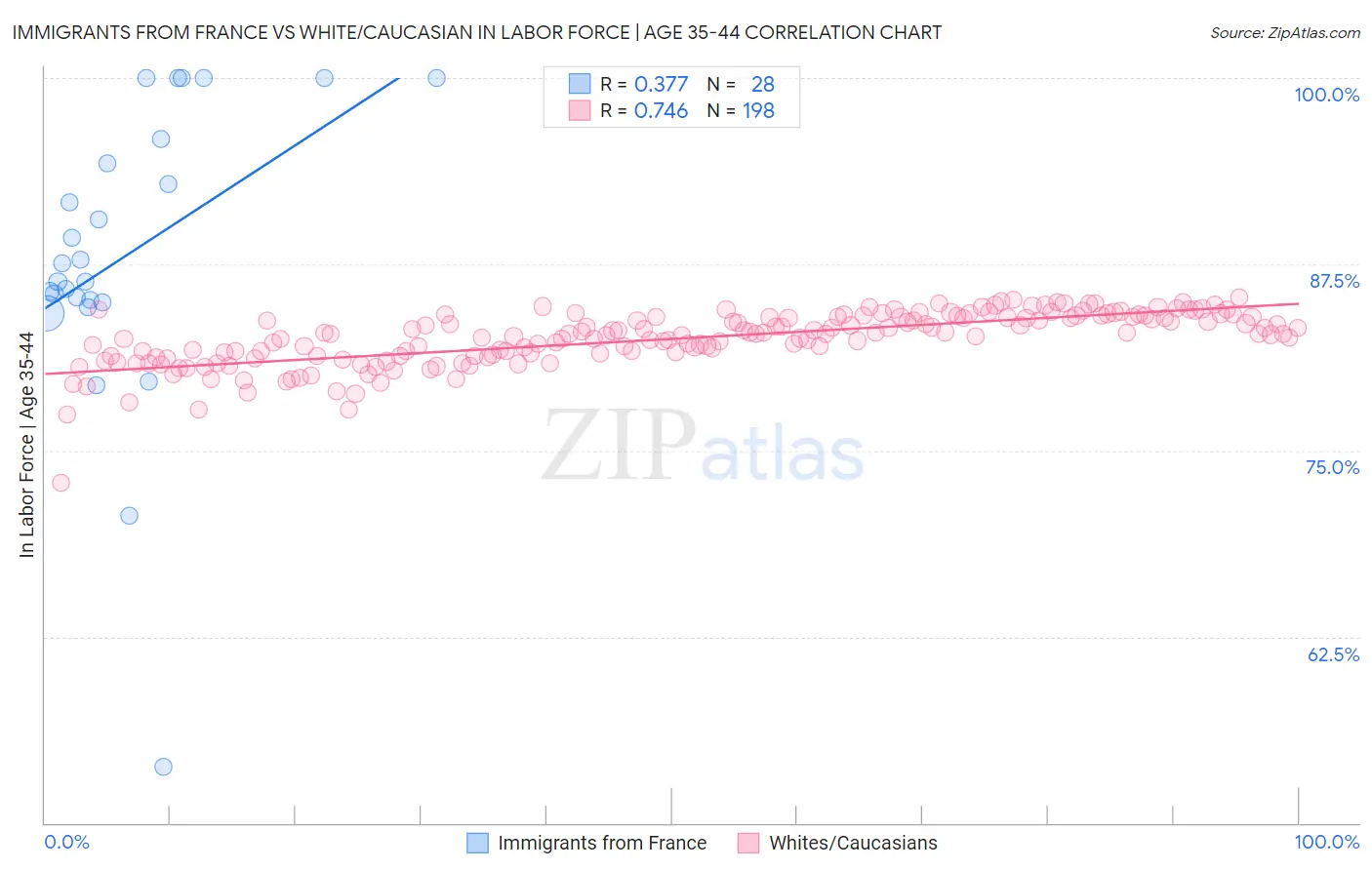 Immigrants from France vs White/Caucasian In Labor Force | Age 35-44