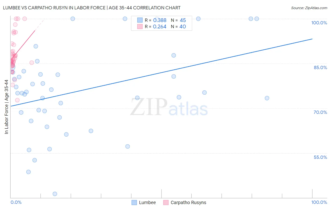 Lumbee vs Carpatho Rusyn In Labor Force | Age 35-44