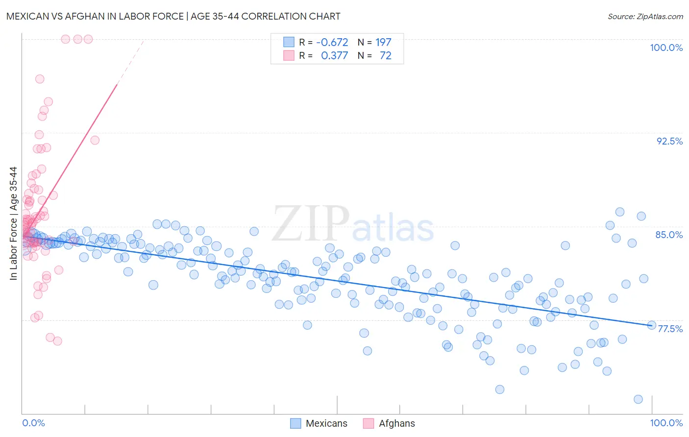 Mexican vs Afghan In Labor Force | Age 35-44