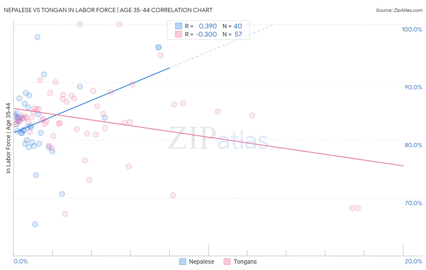 Nepalese vs Tongan In Labor Force | Age 35-44