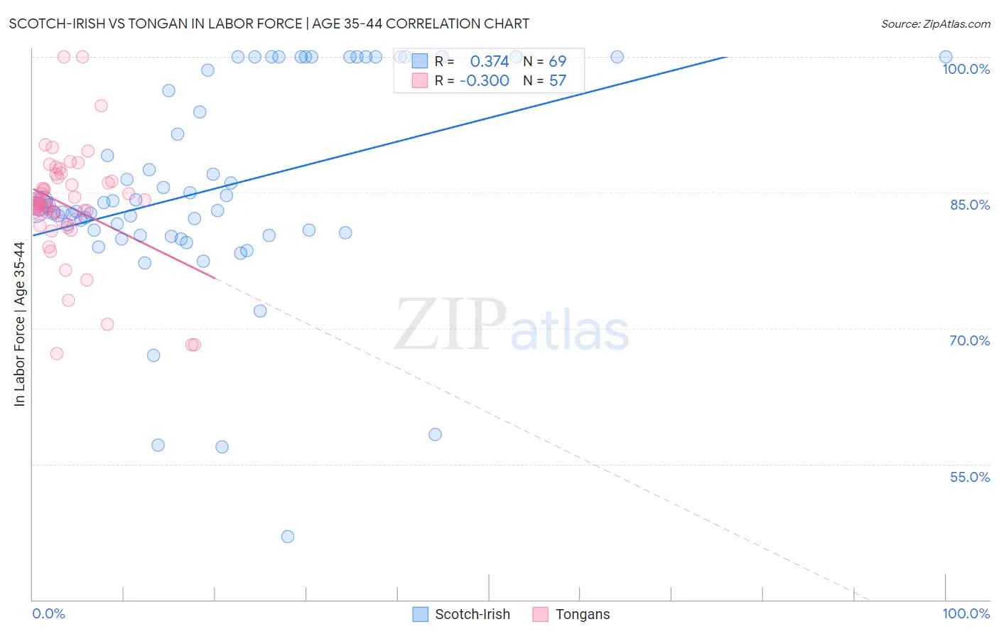 Scotch-Irish vs Tongan In Labor Force | Age 35-44