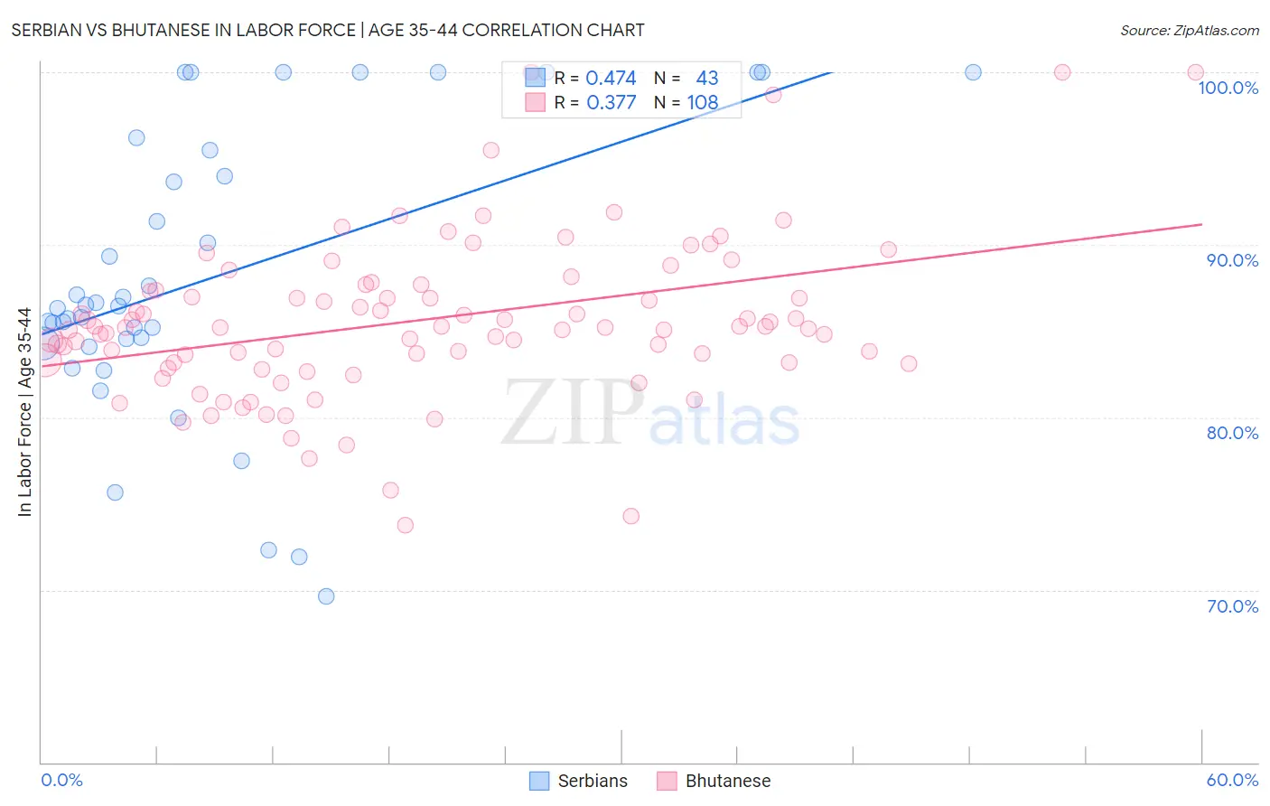 Serbian vs Bhutanese In Labor Force | Age 35-44