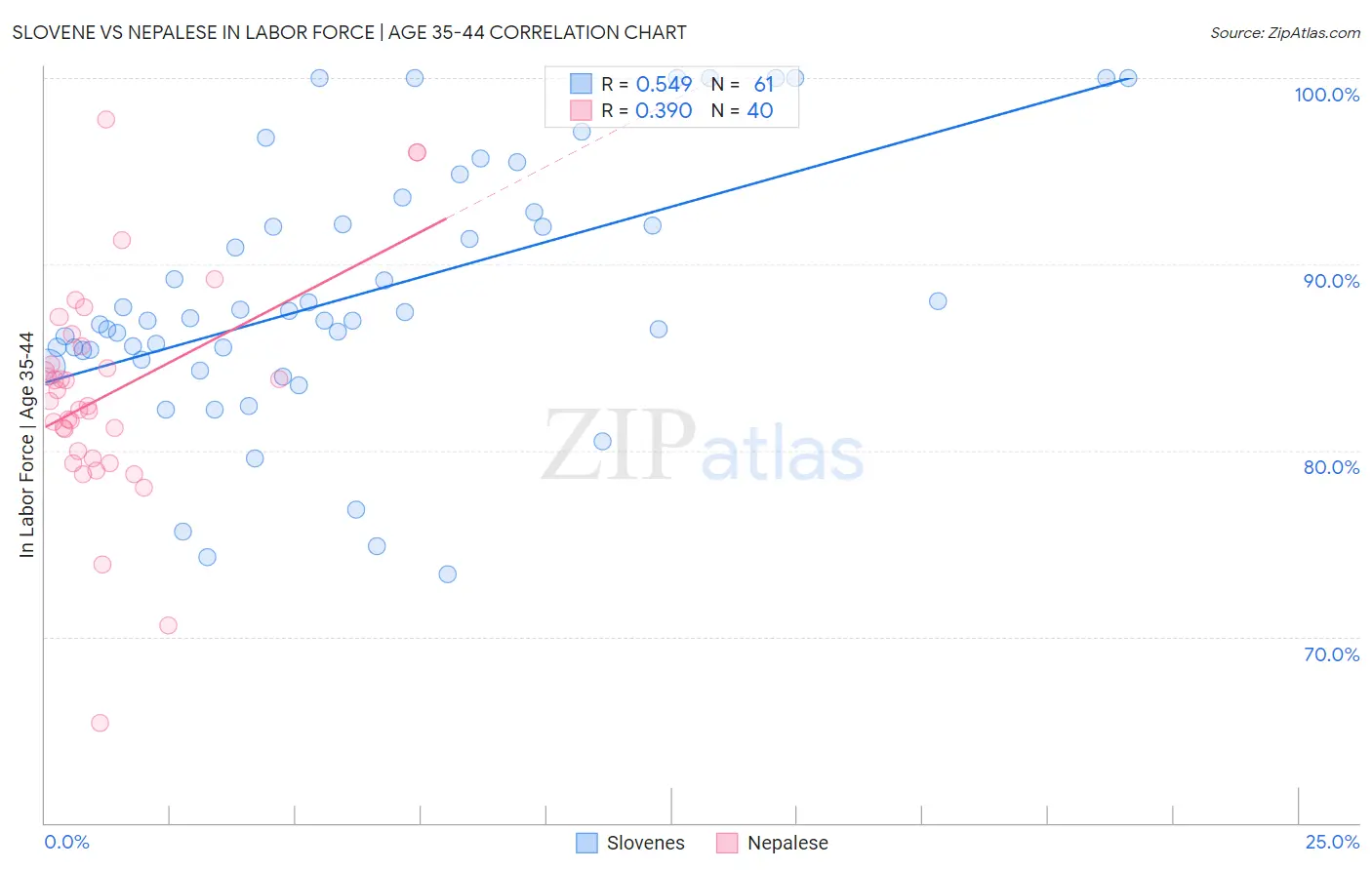 Slovene vs Nepalese In Labor Force | Age 35-44