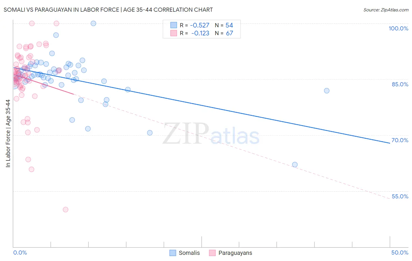 Somali vs Paraguayan In Labor Force | Age 35-44