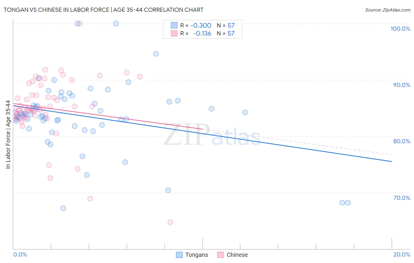 Tongan vs Chinese In Labor Force | Age 35-44