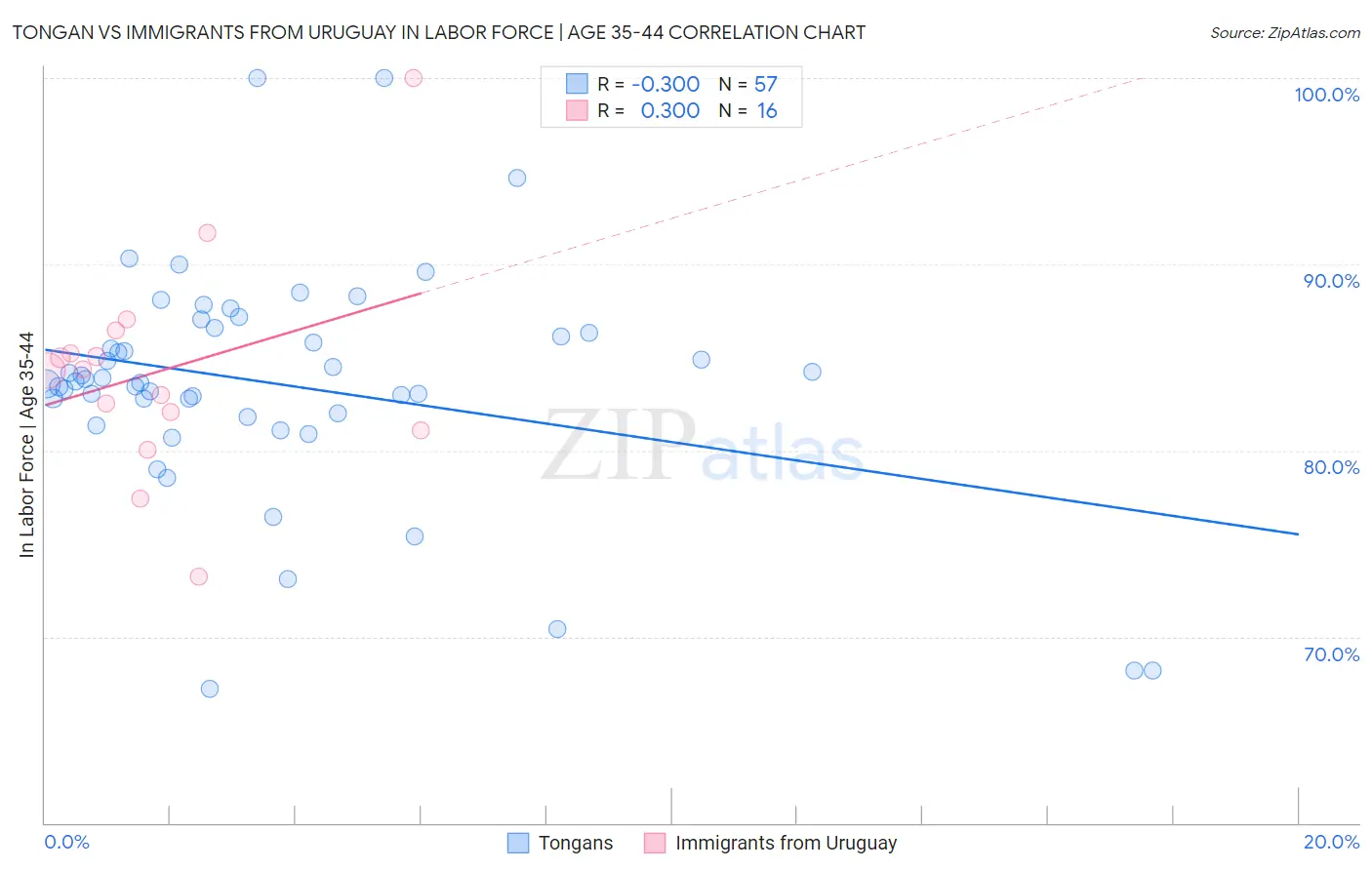 Tongan vs Immigrants from Uruguay In Labor Force | Age 35-44