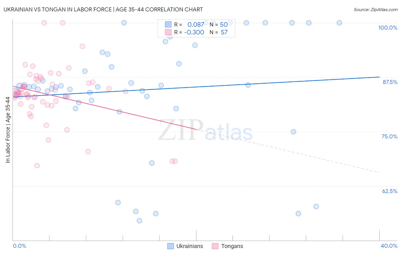 Ukrainian vs Tongan In Labor Force | Age 35-44