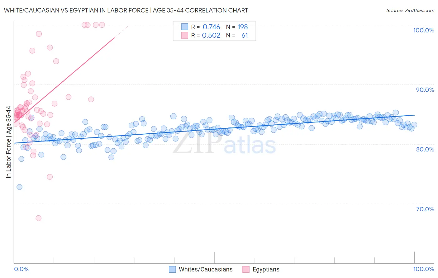 White/Caucasian vs Egyptian In Labor Force | Age 35-44