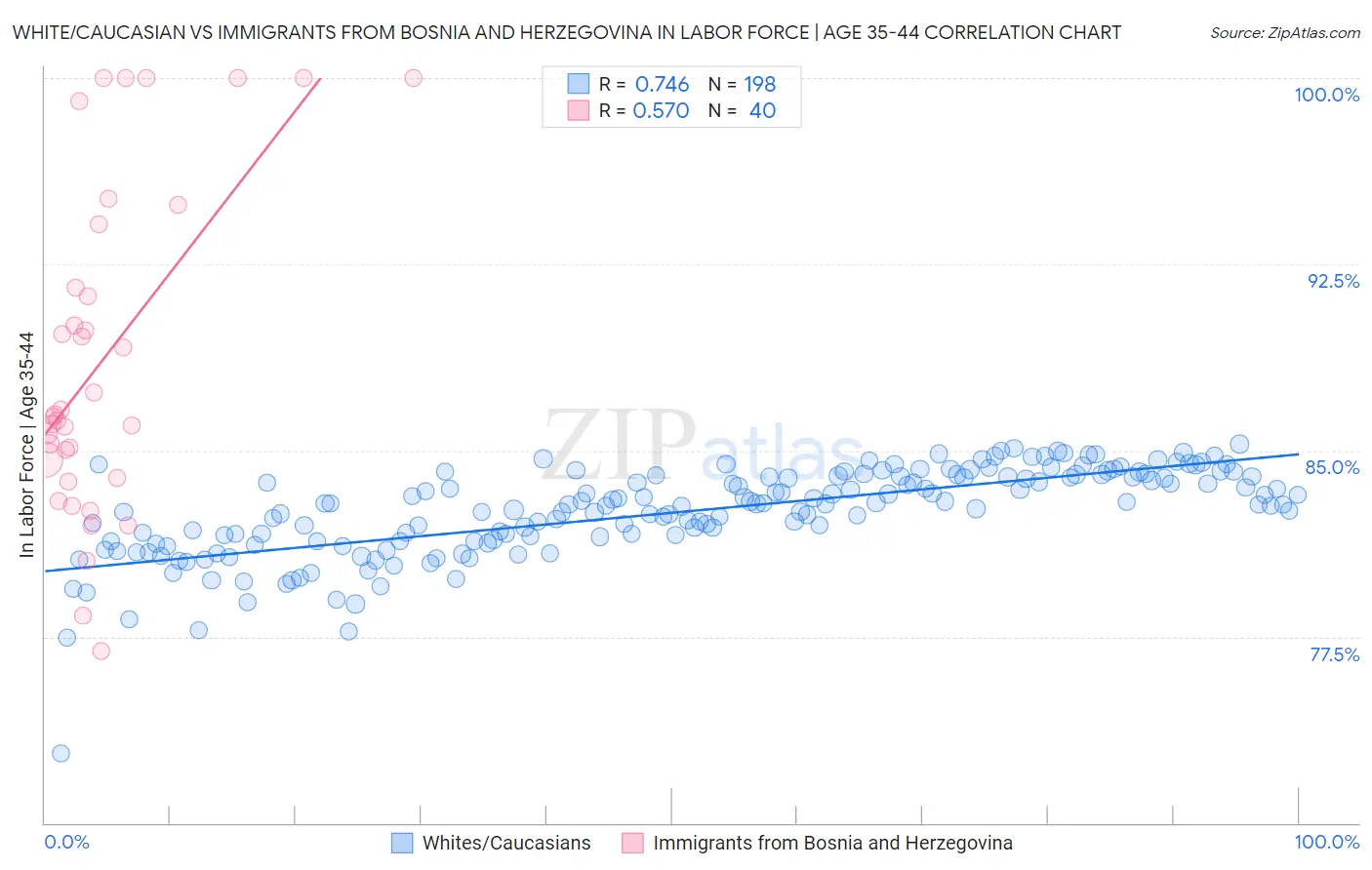 White/Caucasian vs Immigrants from Bosnia and Herzegovina In Labor Force | Age 35-44