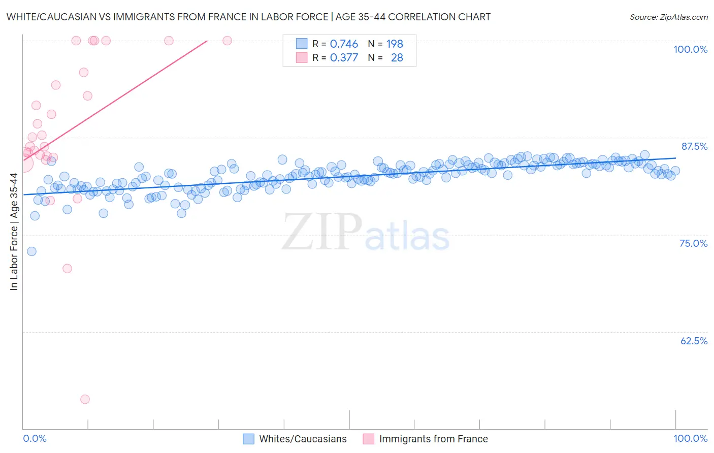 White/Caucasian vs Immigrants from France In Labor Force | Age 35-44