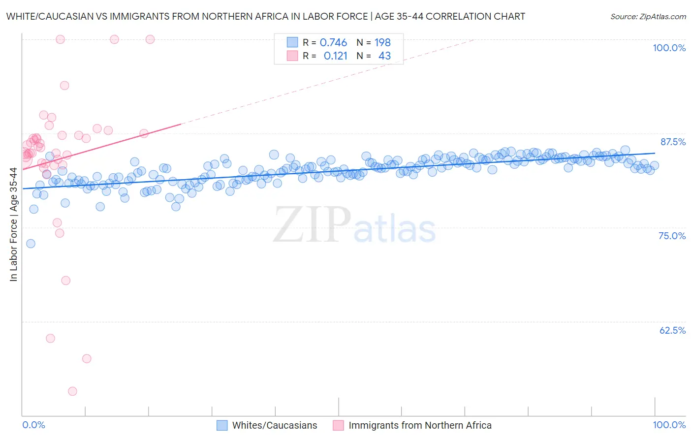 White/Caucasian vs Immigrants from Northern Africa In Labor Force | Age 35-44