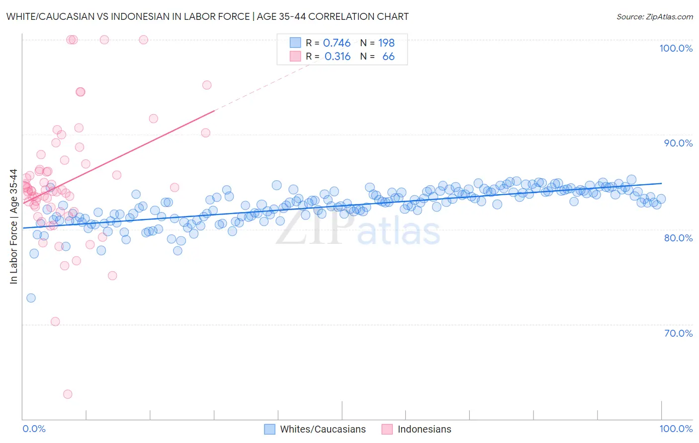 White/Caucasian vs Indonesian In Labor Force | Age 35-44