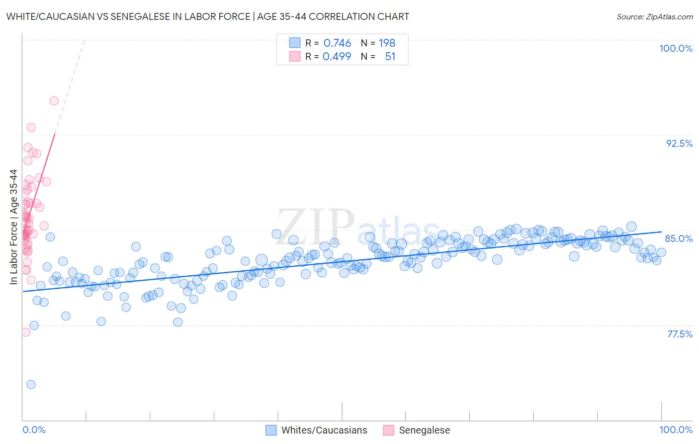 White/Caucasian vs Senegalese In Labor Force | Age 35-44