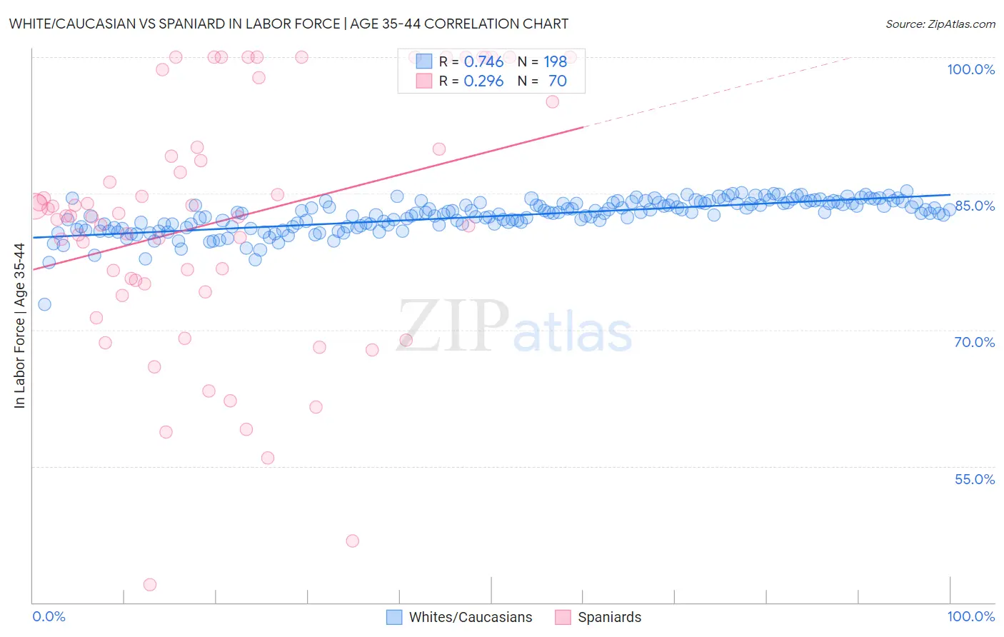 White/Caucasian vs Spaniard In Labor Force | Age 35-44