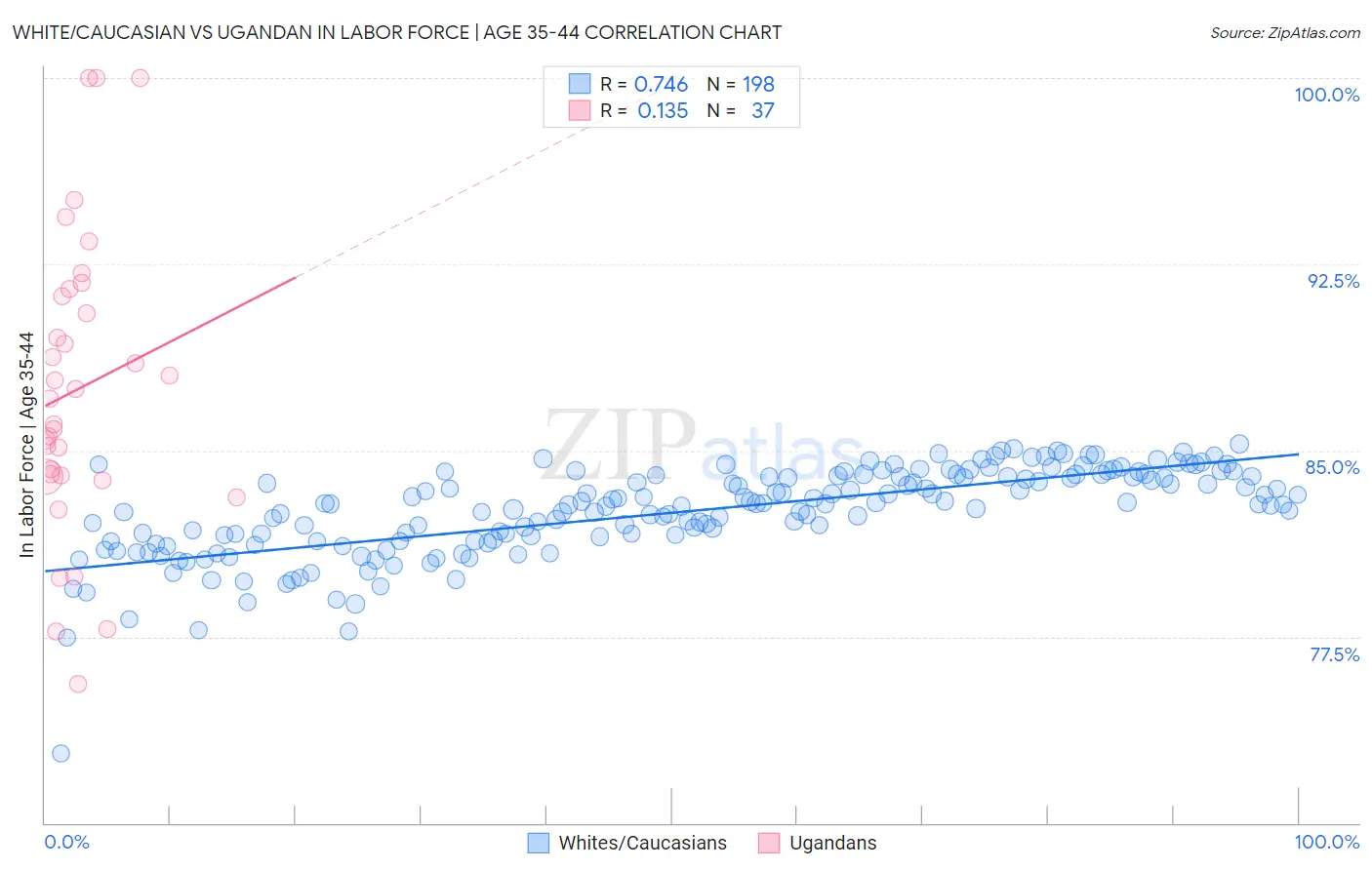 White/Caucasian vs Ugandan In Labor Force | Age 35-44