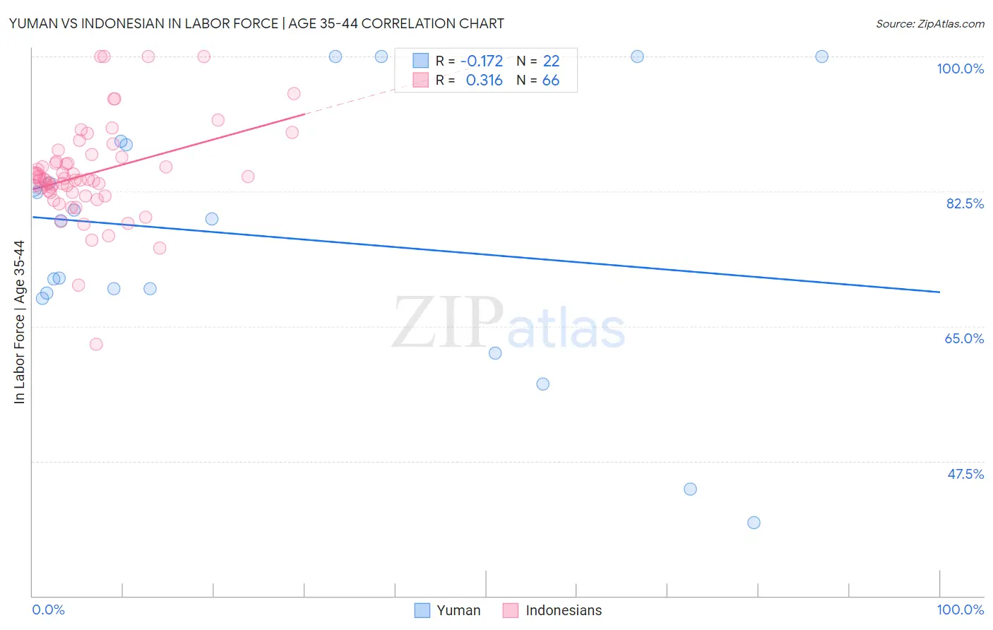 Yuman vs Indonesian In Labor Force | Age 35-44