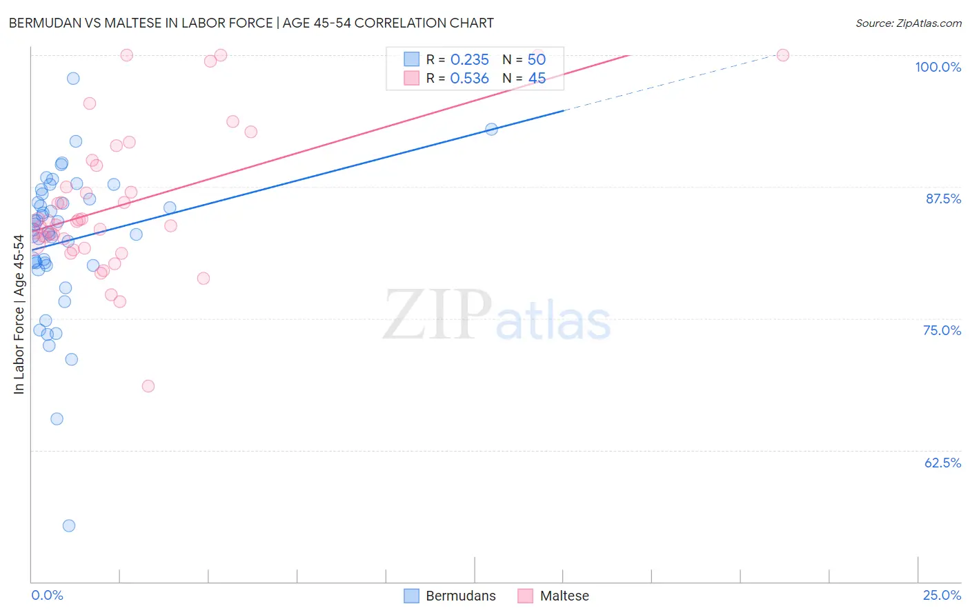 Bermudan vs Maltese In Labor Force | Age 45-54