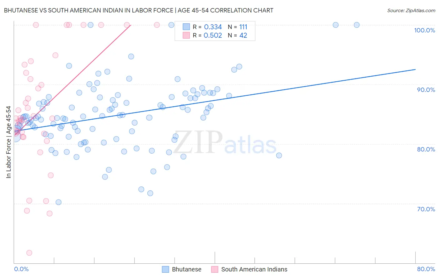 Bhutanese vs South American Indian In Labor Force | Age 45-54