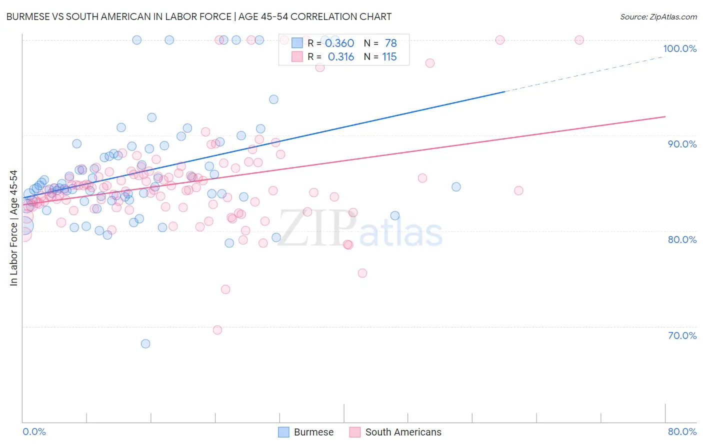 Burmese vs South American In Labor Force | Age 45-54