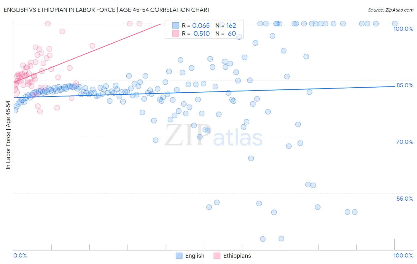 English vs Ethiopian In Labor Force | Age 45-54