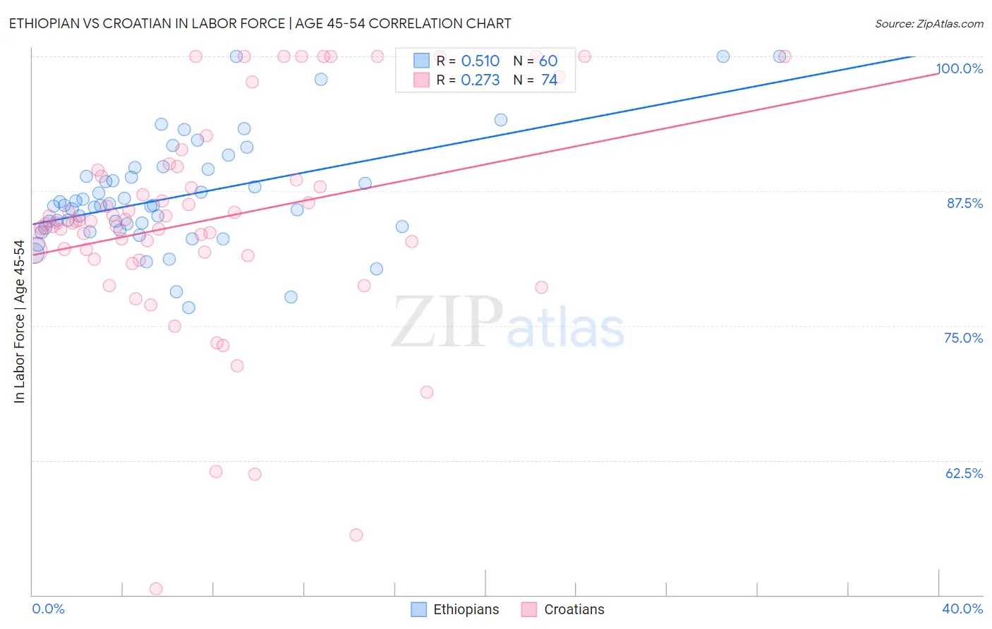 Ethiopian vs Croatian In Labor Force | Age 45-54