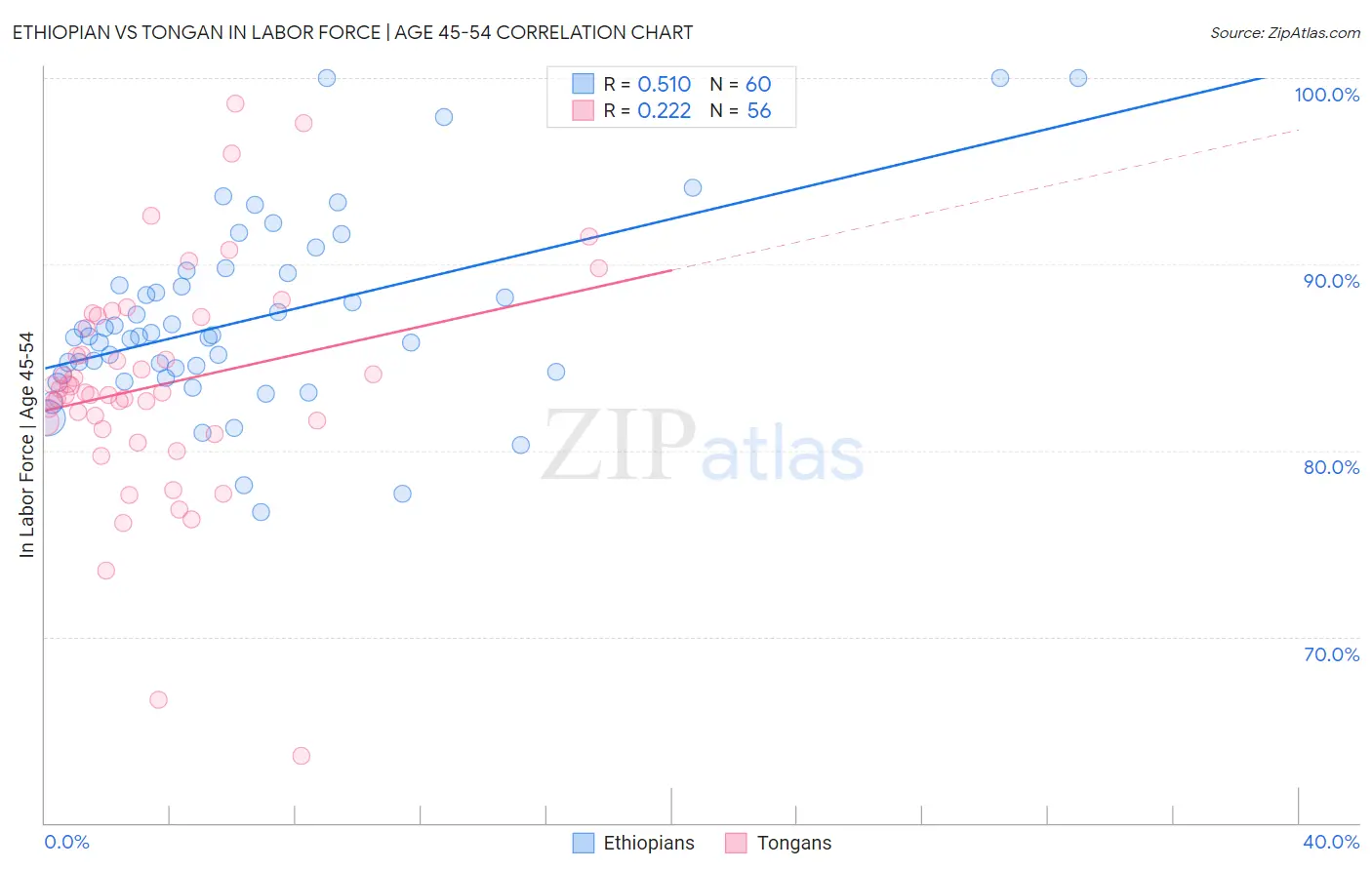 Ethiopian vs Tongan In Labor Force | Age 45-54