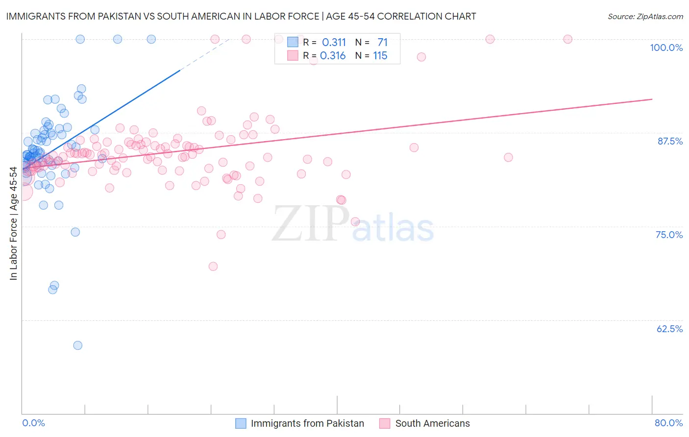 Immigrants from Pakistan vs South American In Labor Force | Age 45-54
