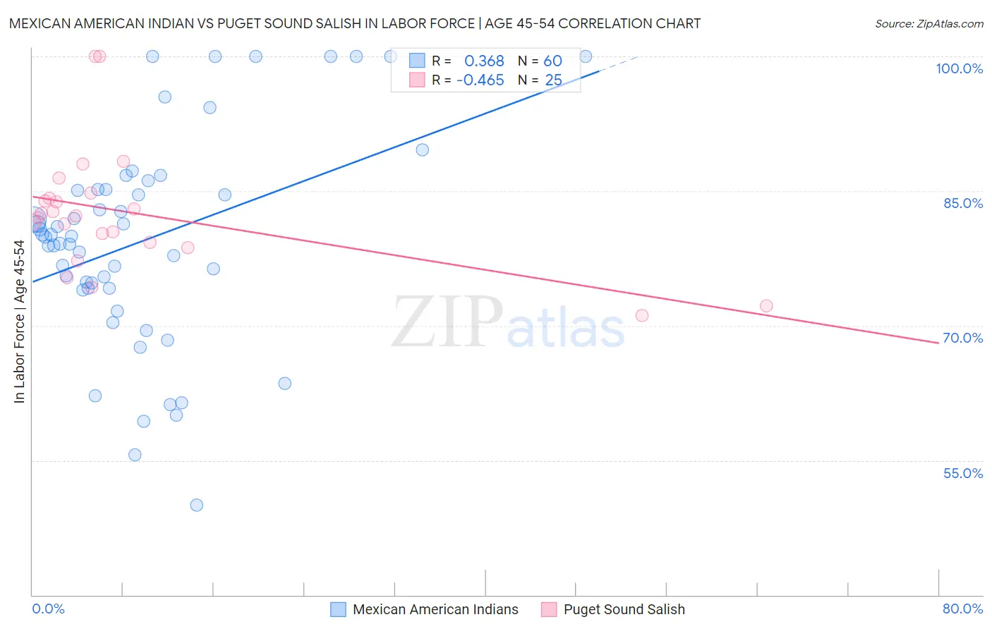 Mexican American Indian vs Puget Sound Salish In Labor Force | Age 45-54