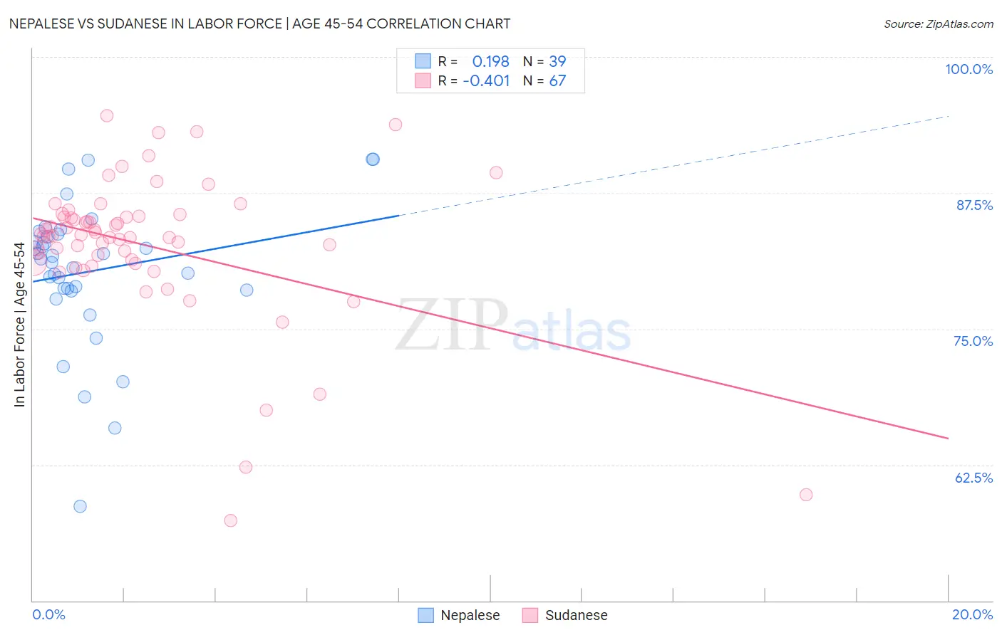 Nepalese vs Sudanese In Labor Force | Age 45-54