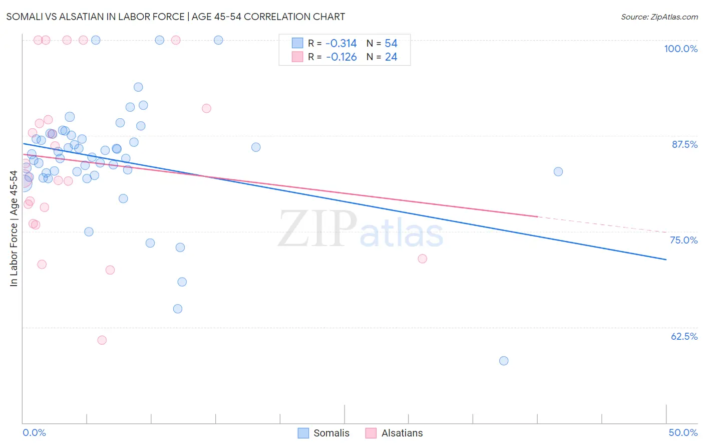 Somali vs Alsatian In Labor Force | Age 45-54