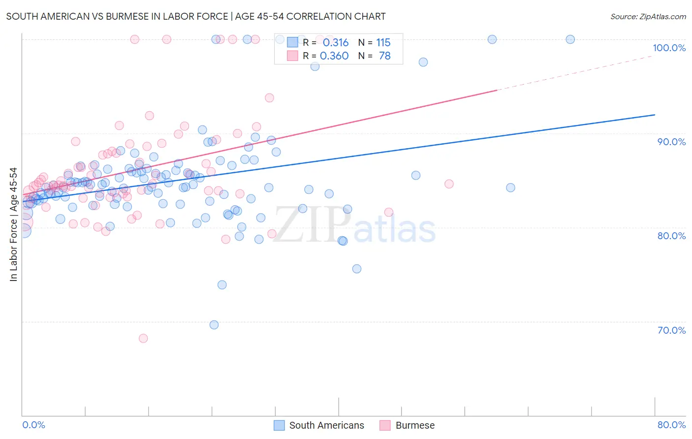 South American vs Burmese In Labor Force | Age 45-54
