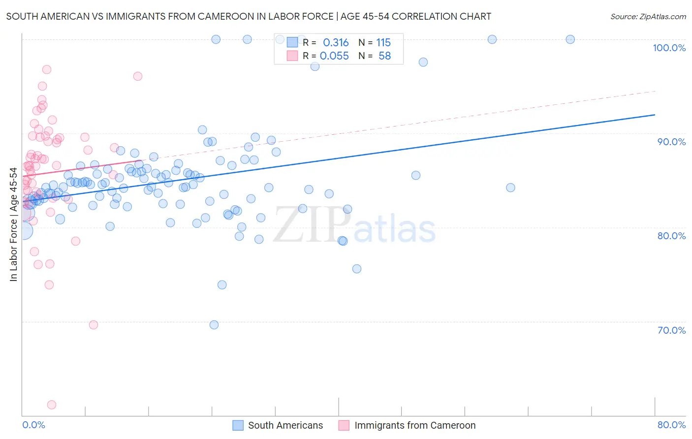 South American vs Immigrants from Cameroon In Labor Force | Age 45-54