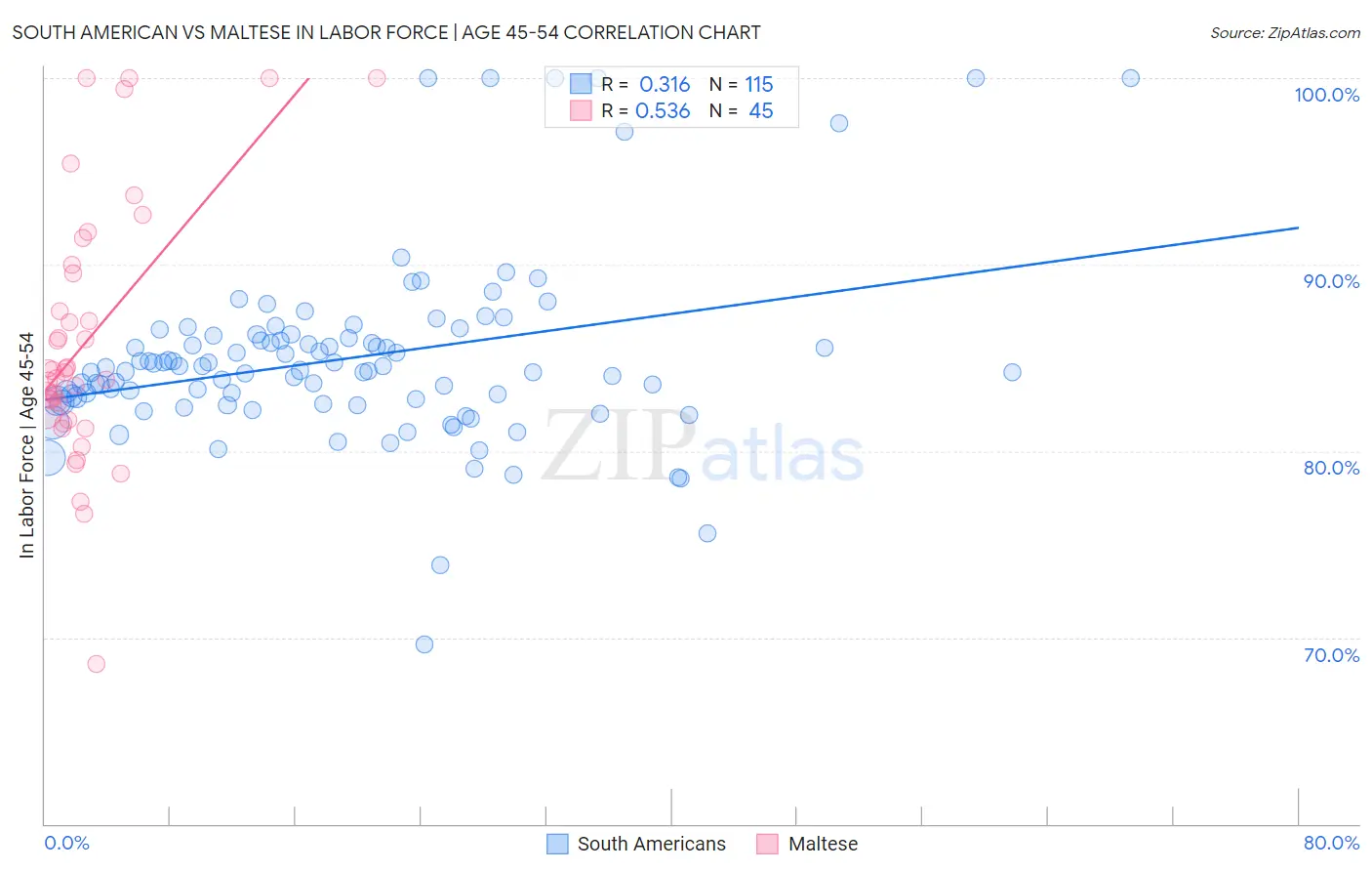 South American vs Maltese In Labor Force | Age 45-54