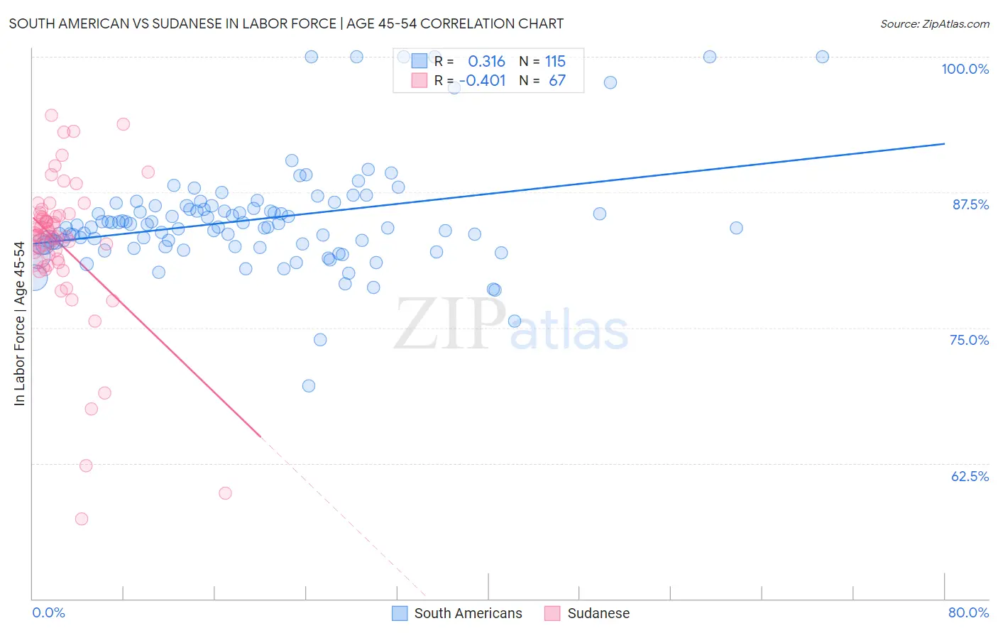 South American vs Sudanese In Labor Force | Age 45-54