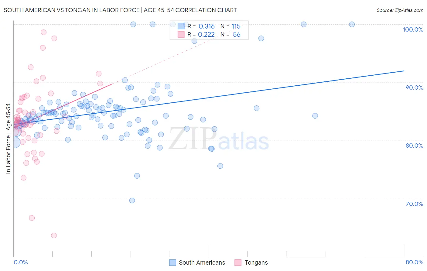 South American vs Tongan In Labor Force | Age 45-54