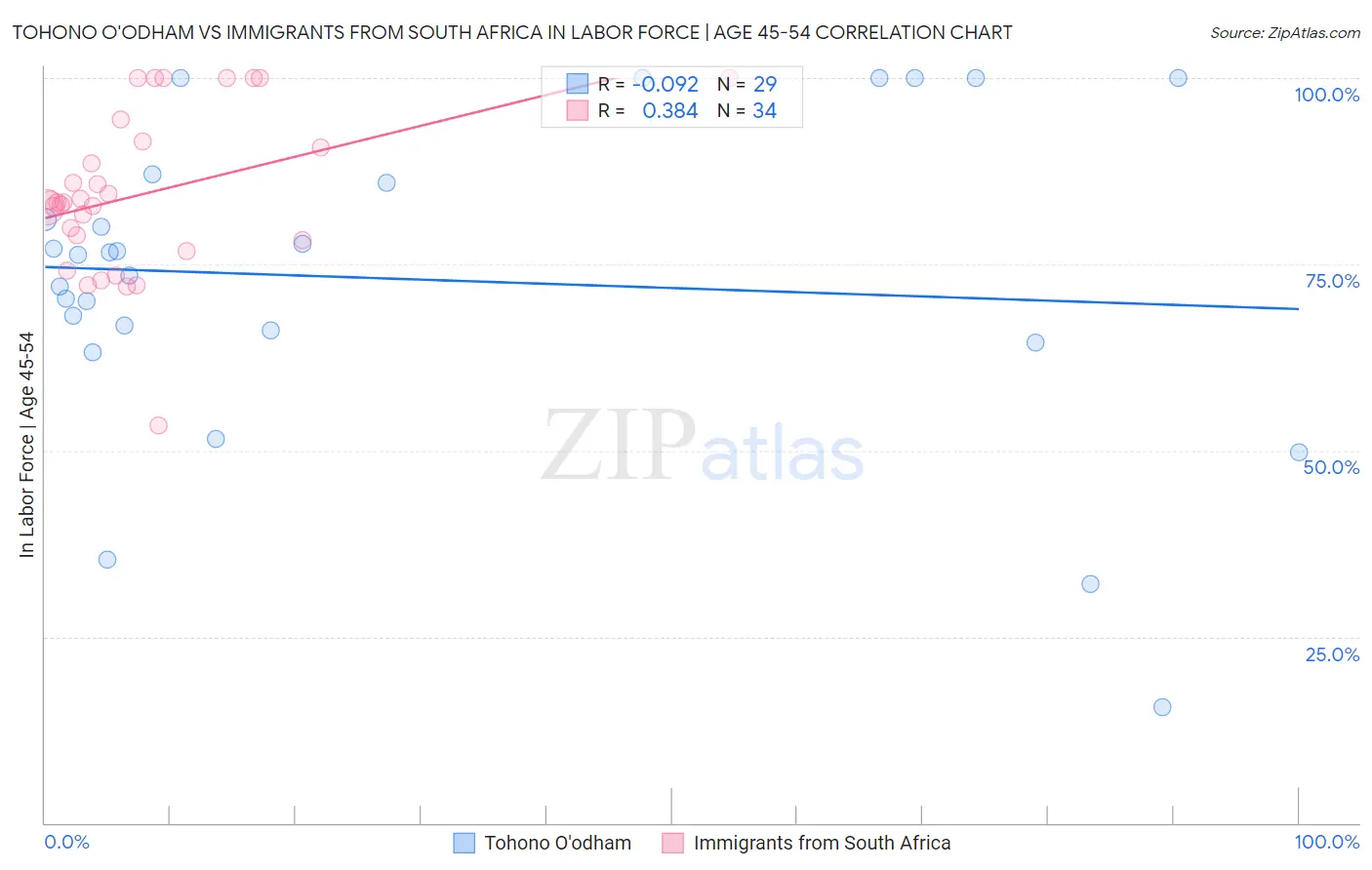 Tohono O'odham vs Immigrants from South Africa In Labor Force | Age 45-54