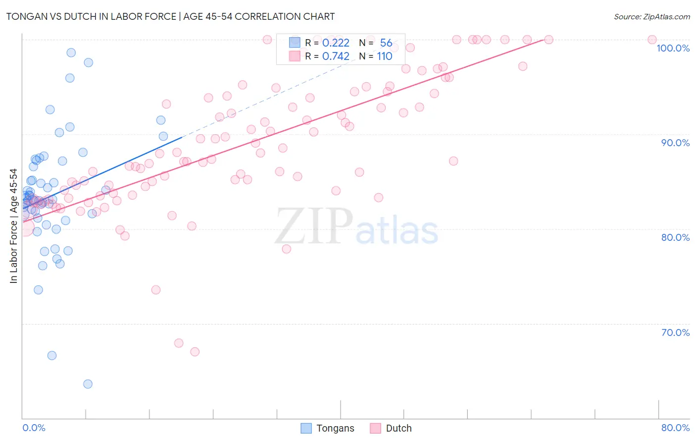 Tongan vs Dutch In Labor Force | Age 45-54