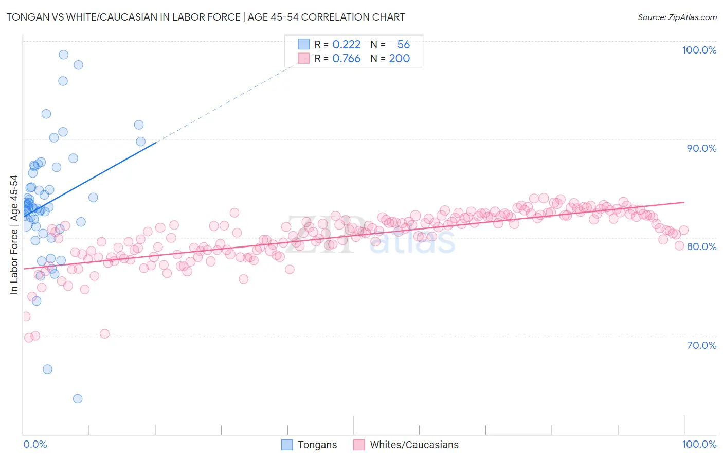 Tongan vs White/Caucasian In Labor Force | Age 45-54