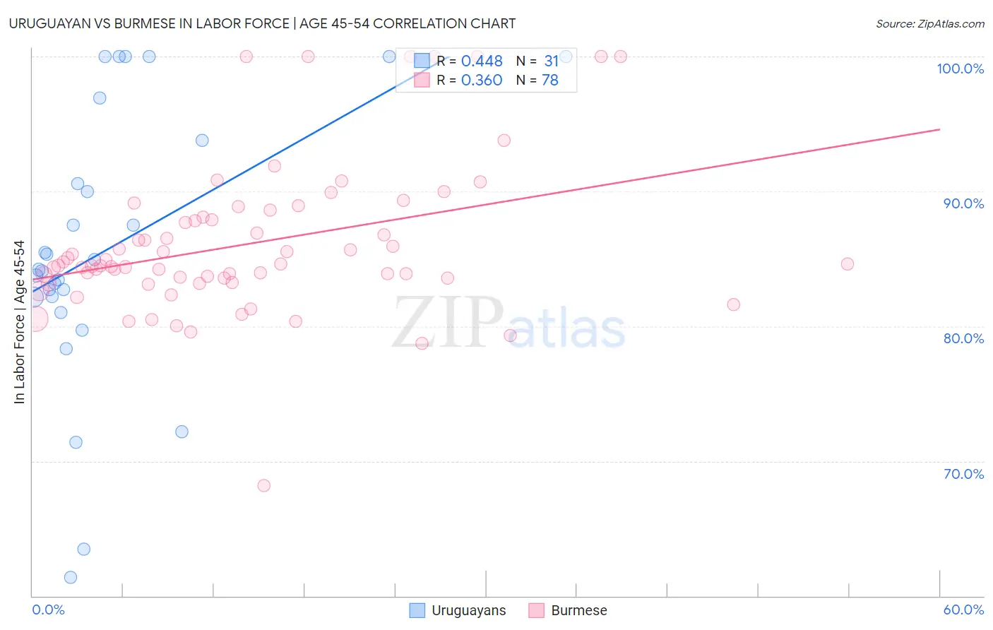 Uruguayan vs Burmese In Labor Force | Age 45-54