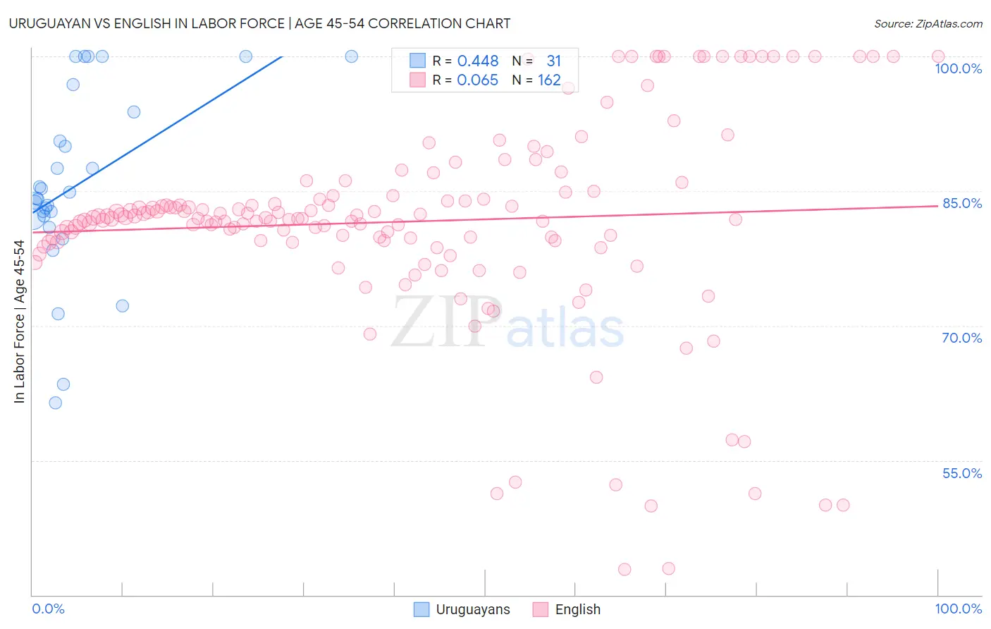 Uruguayan vs English In Labor Force | Age 45-54