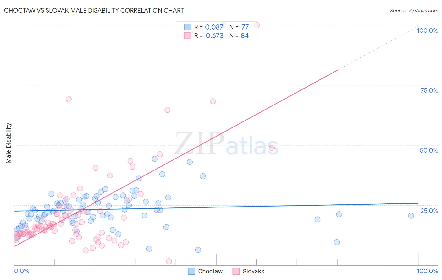 Choctaw vs Slovak Male Disability