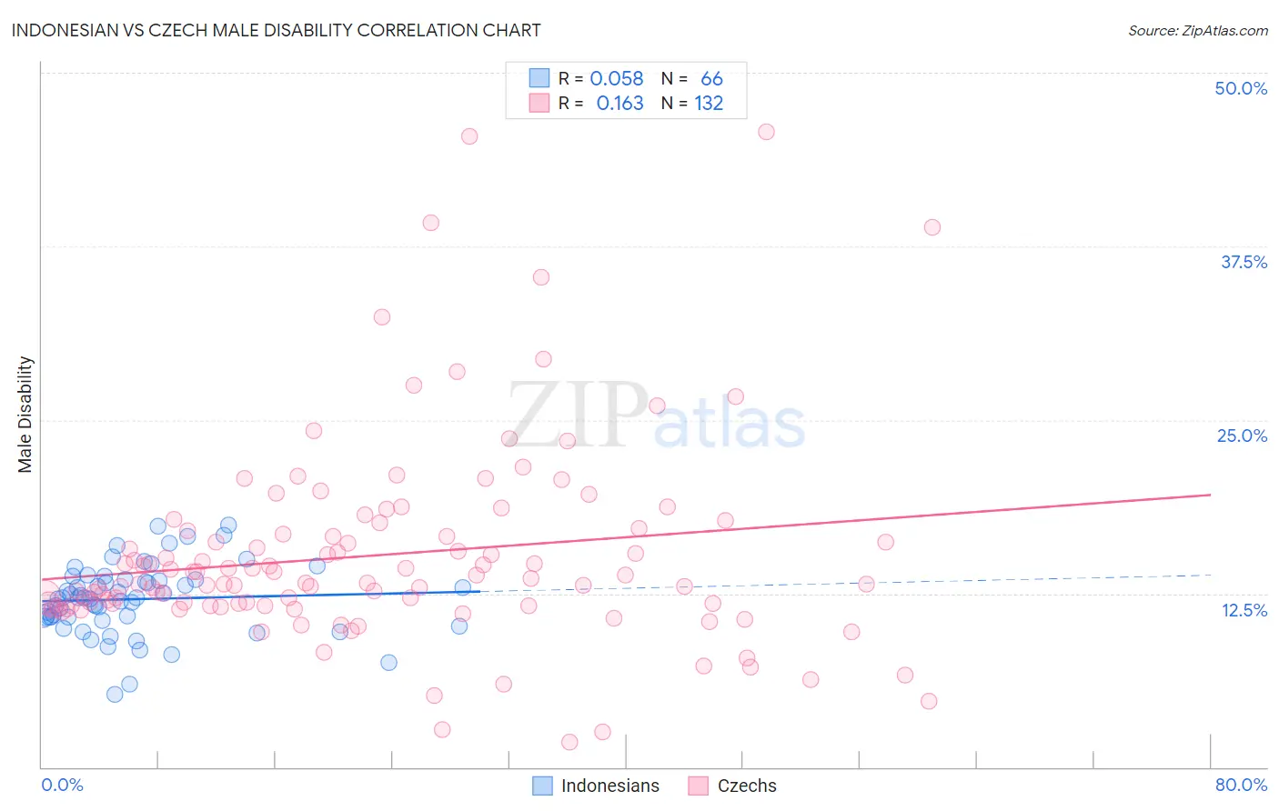 Indonesian vs Czech Male Disability