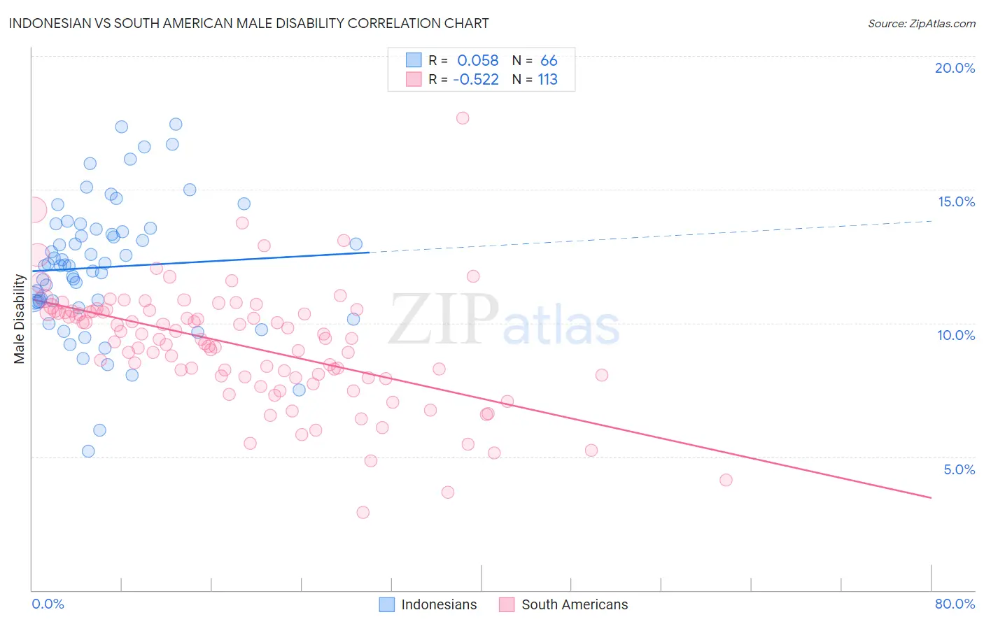 Indonesian vs South American Male Disability